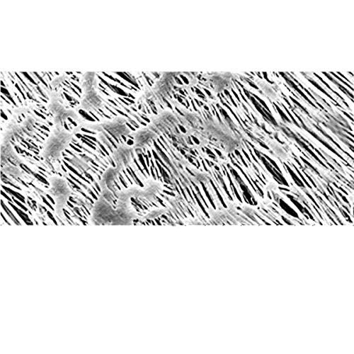 Sartorius 11807-25N Polytetrafluoroethylene Мембрански Филтер, 0.2 хм, 25 mm (Пакување од 100)