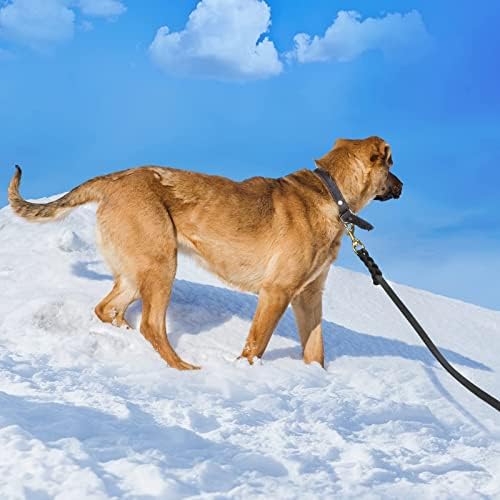 WOPOKY Вистинска Кожа Куче Поводник - Тешки Куче Обука Leashes за Голема Раса Кучиња и Средни Кучиња - 4FT / 5FT / 6FT Долго со Боја