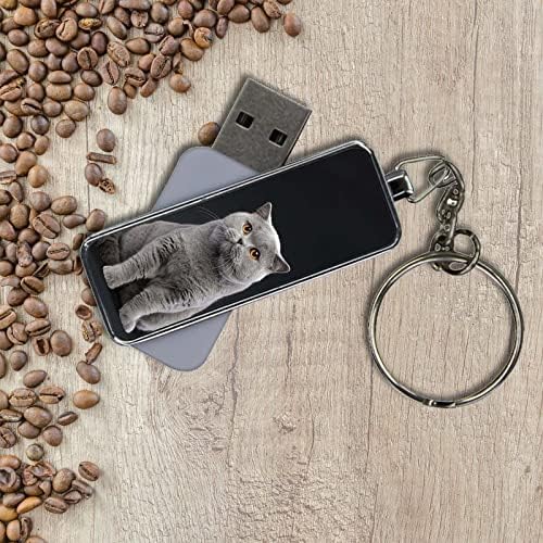 Креативност Направени од Метал 8GB USB Флеш Имаат Британски Краток Сина Мачка 1